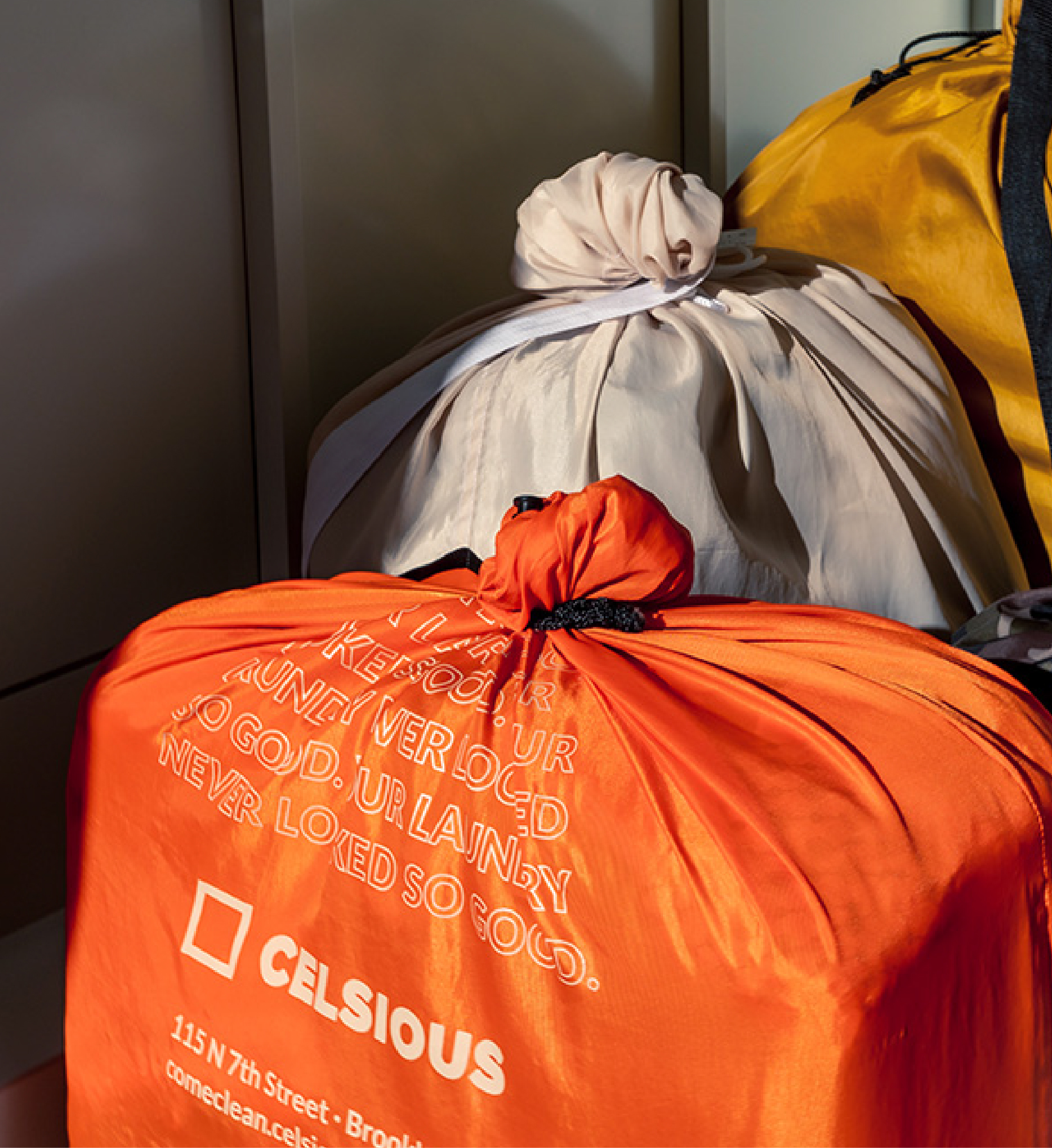 NDC_Work_Celsious_15